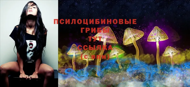 Галлюциногенные грибы MAGIC MUSHROOMS  Михайловка 